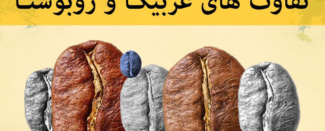 پوستر تفاوت عربیکا و روبوستا